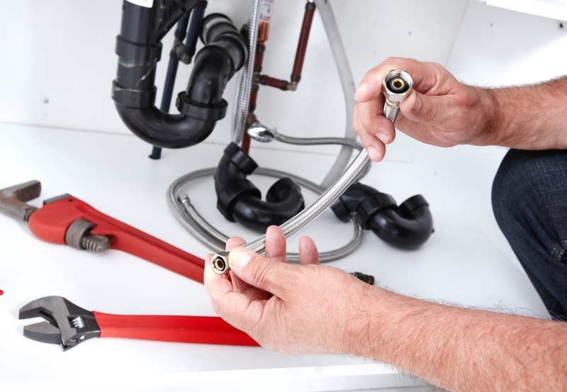 Toilet repair being carried out in Belgravia